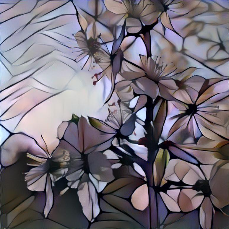 Plum blossom 