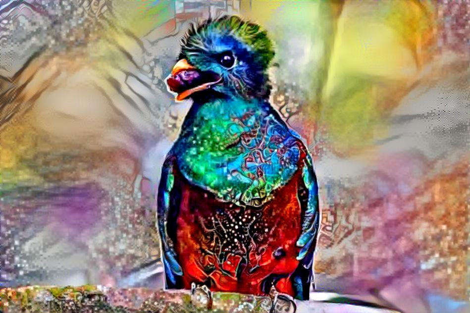 Quetzal beautiful bird