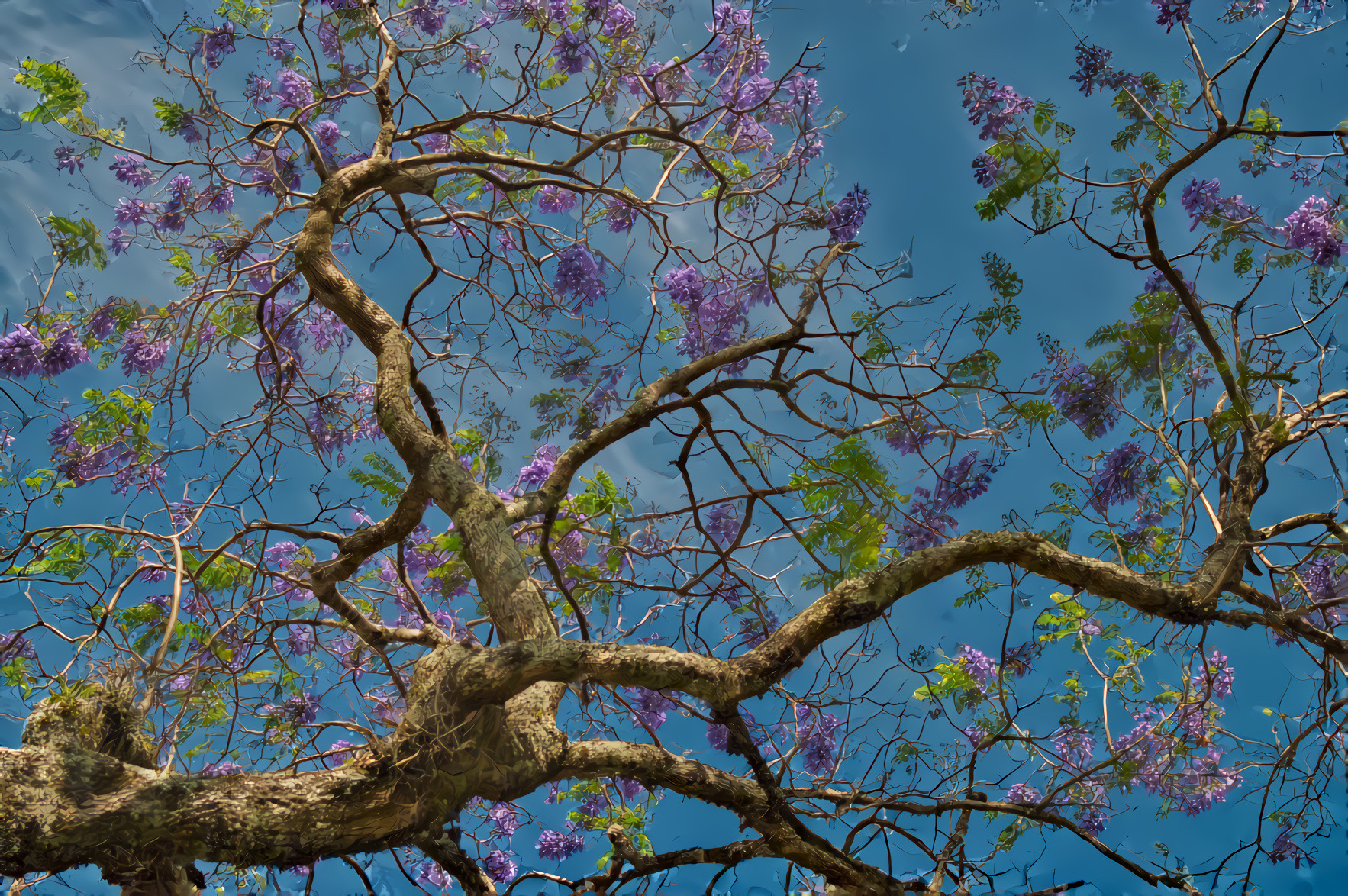 Costa Rica Flowering Tree Branch