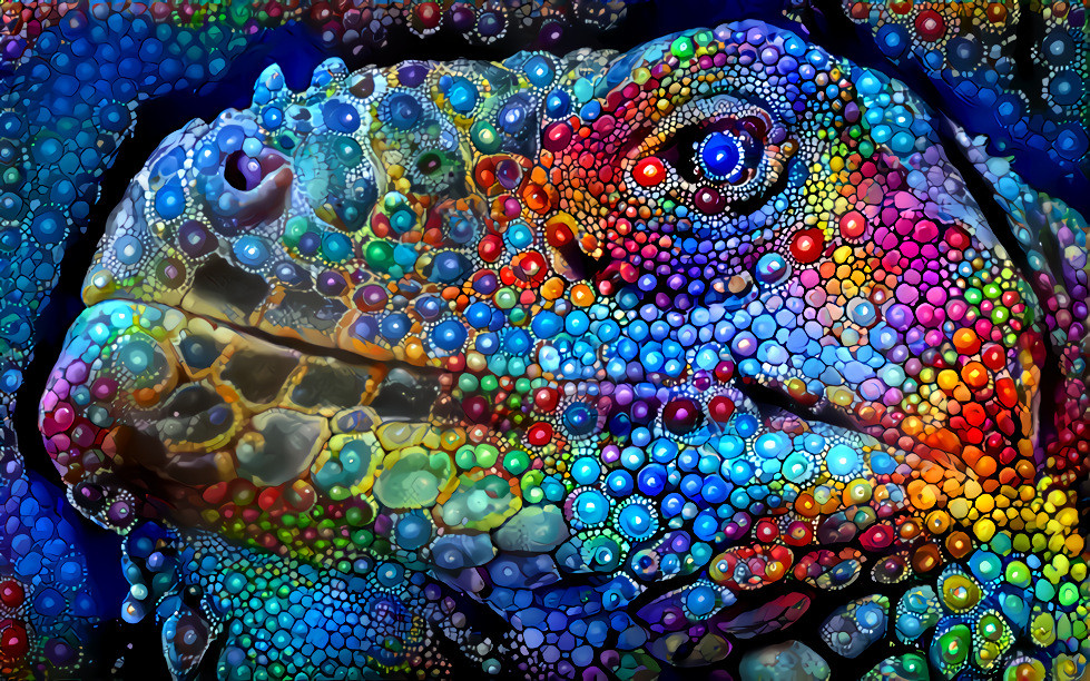 Bejeweled Lizard