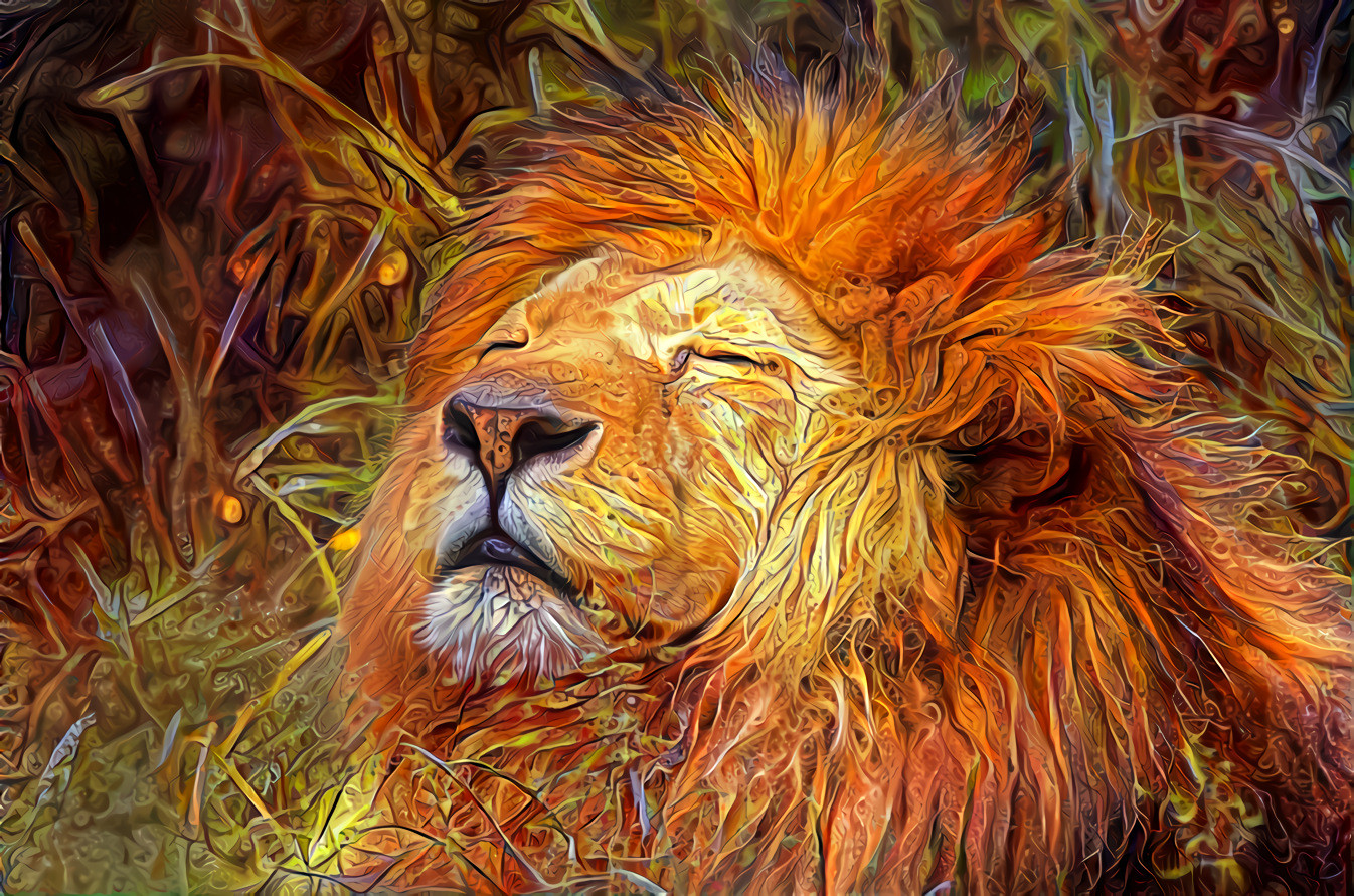 Lion resting in sunlit Africa