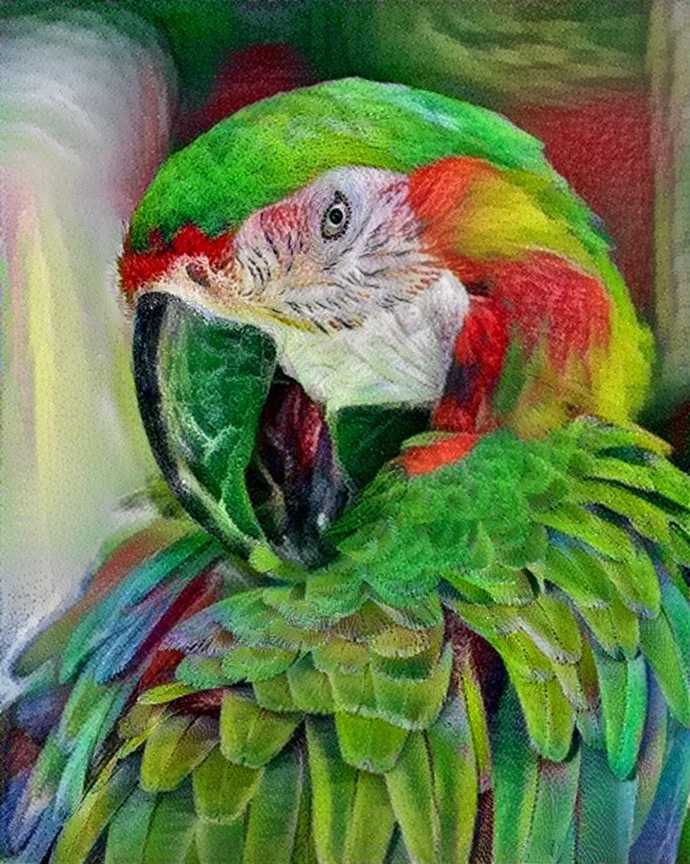 Parrot Colors [1.2MP]