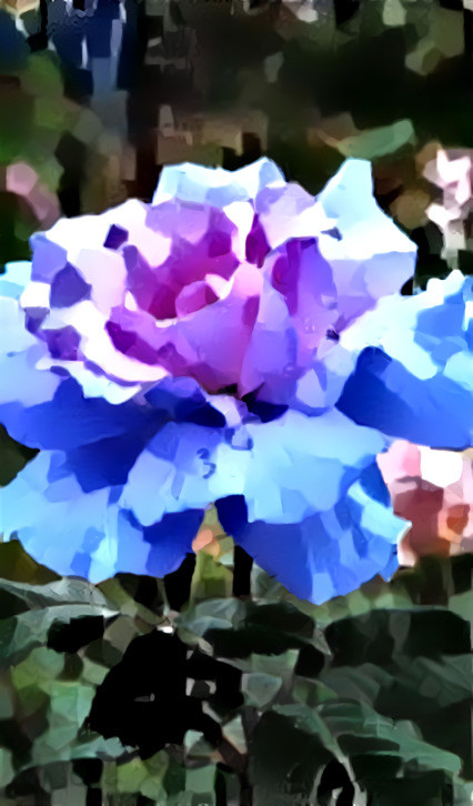 Blue-Violet Flower