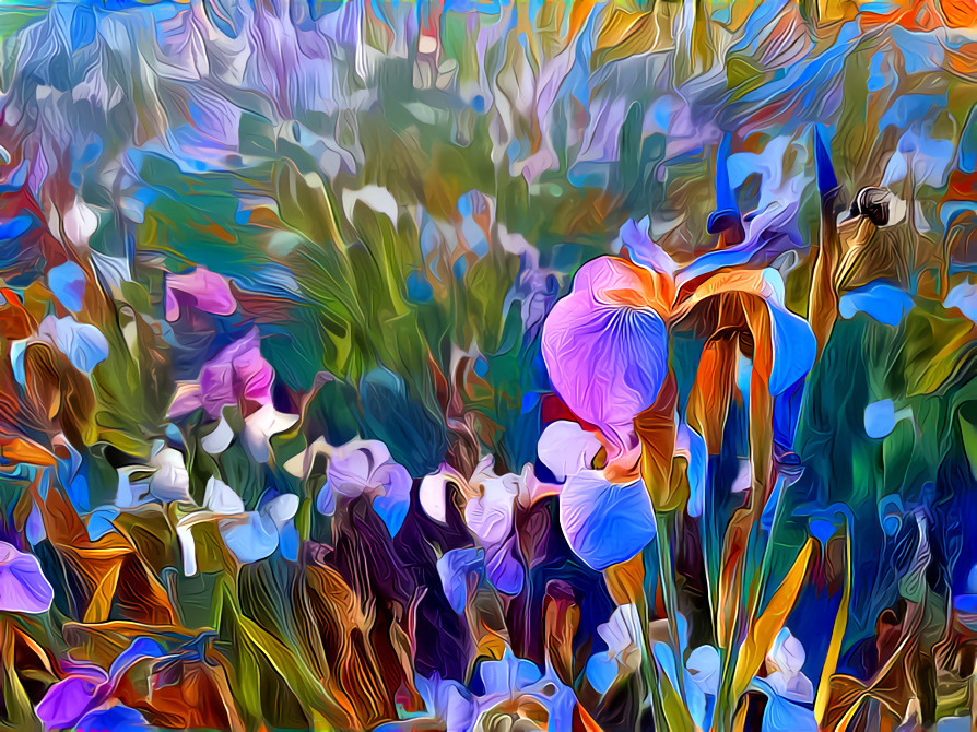 a iris flower