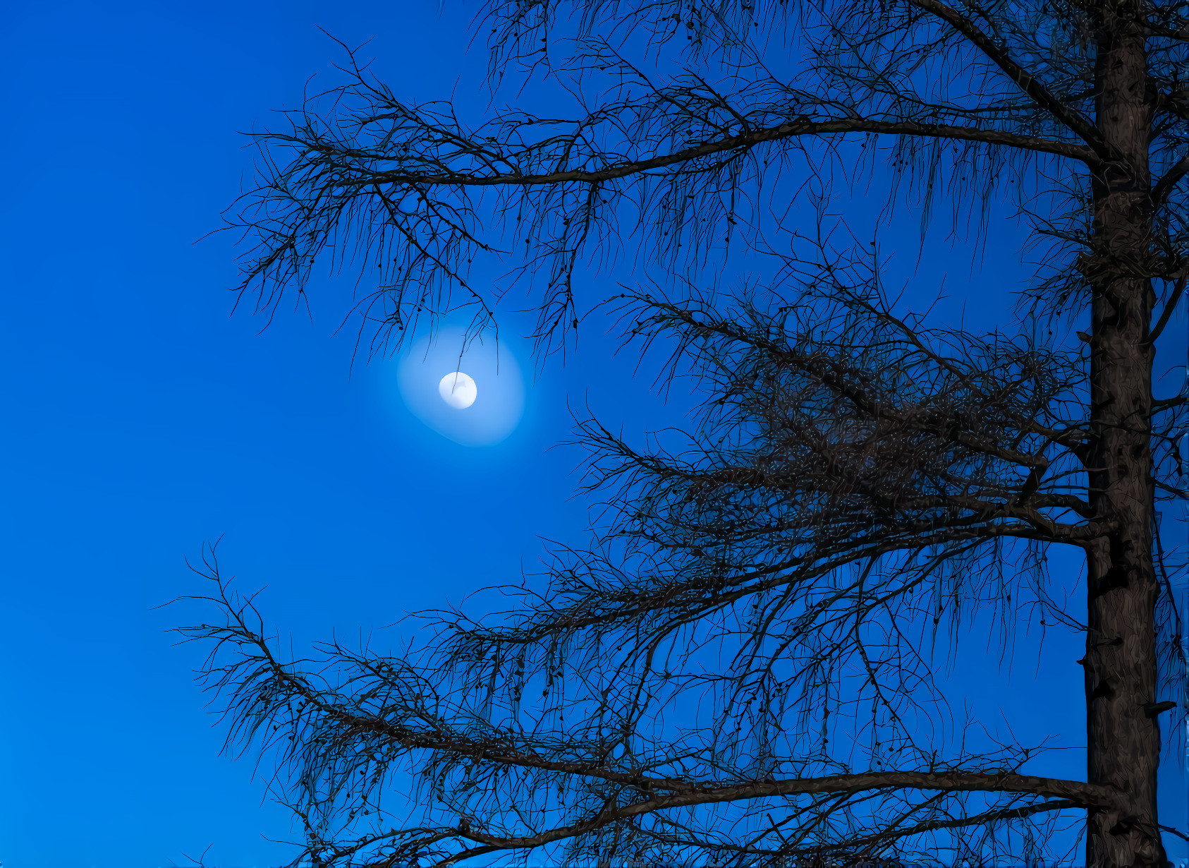 Moon and Larch Tree