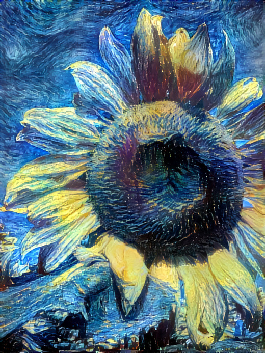 Blue Sunflower