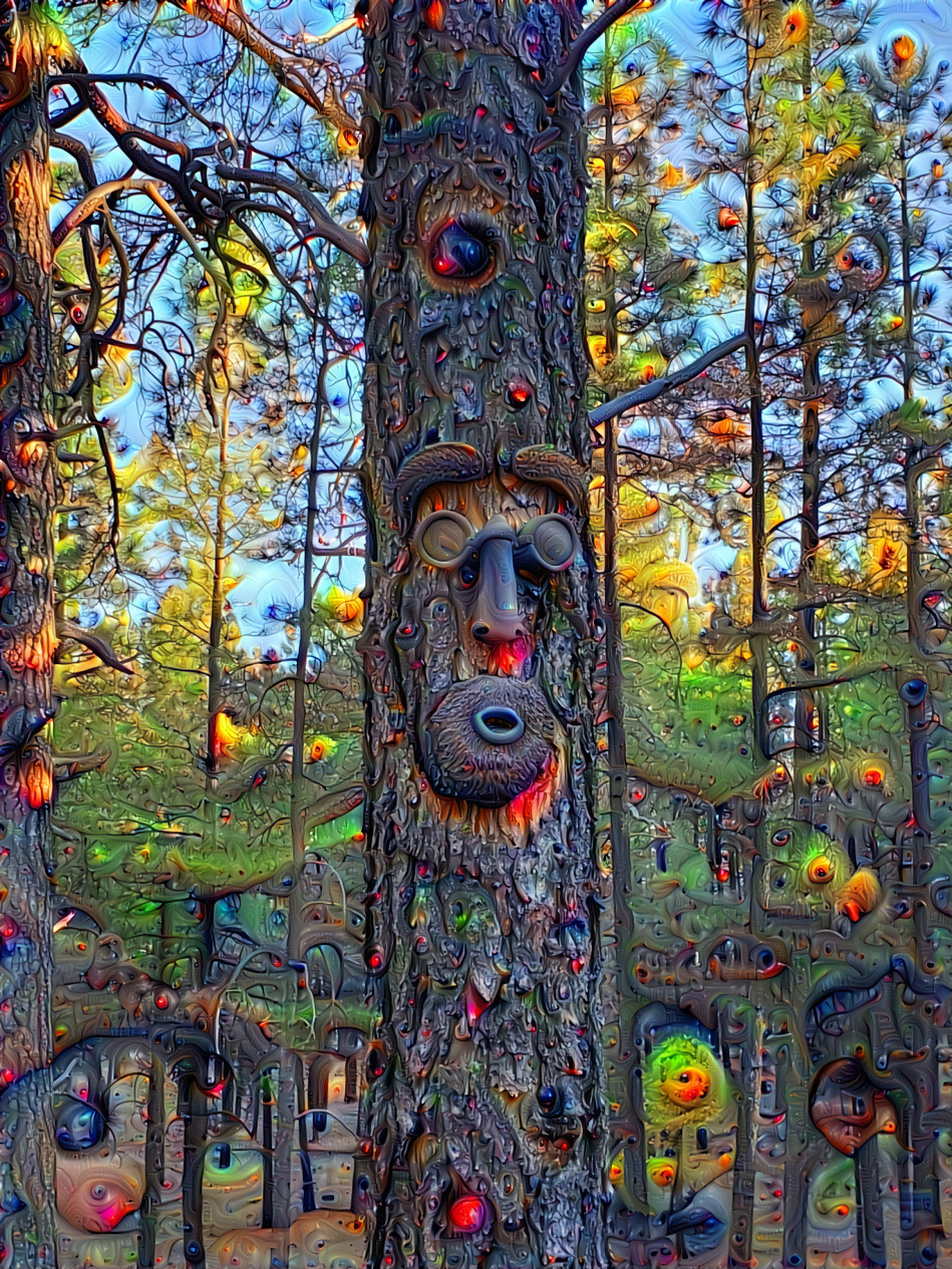 Mr Tree
