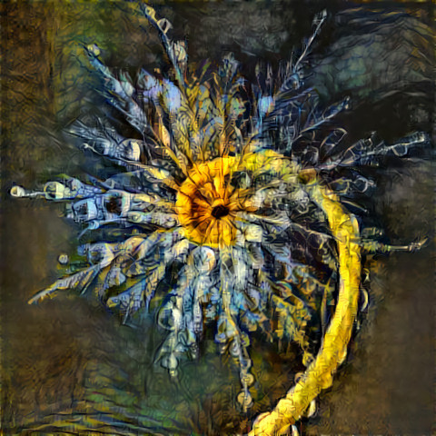 Starry Spiral