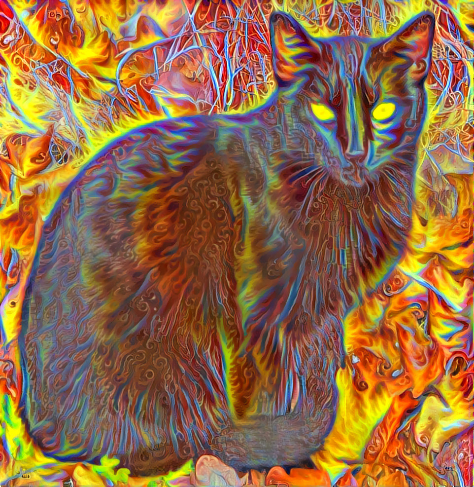 Cat of Udûn