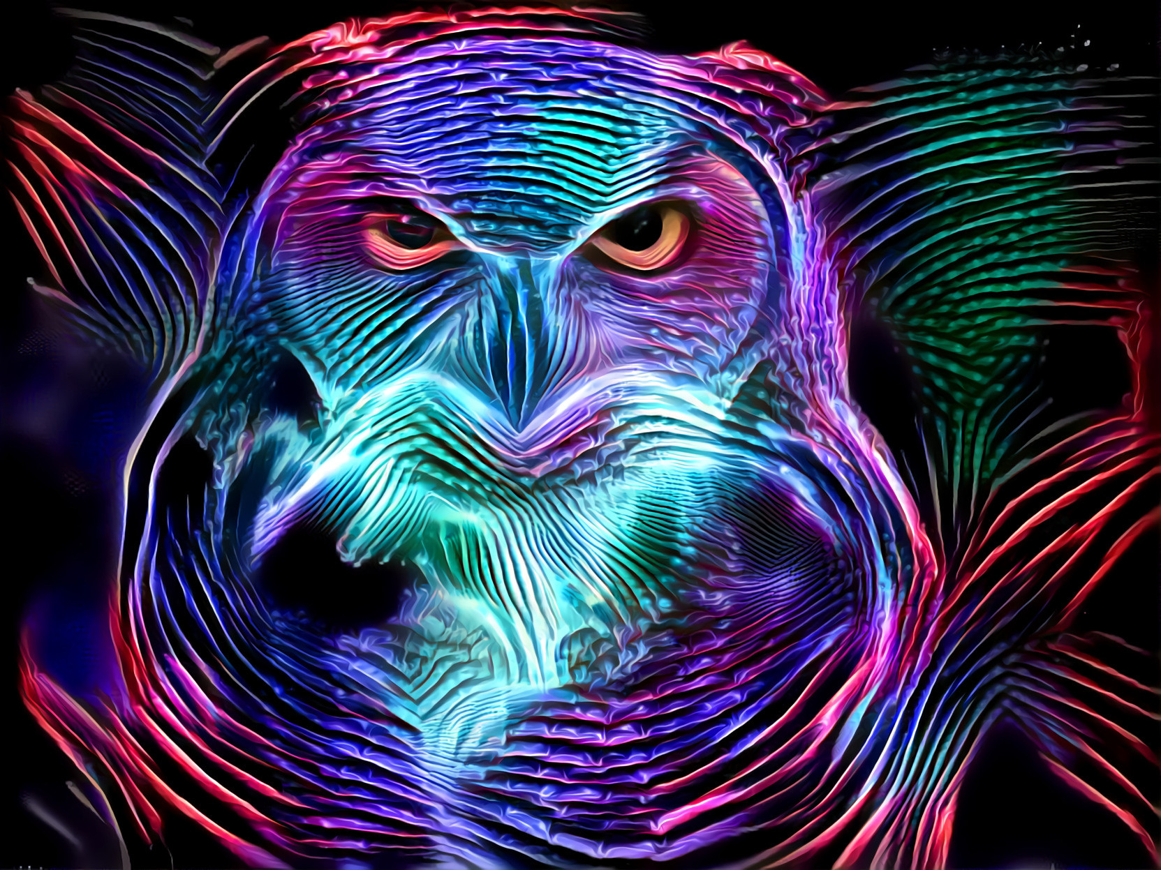 Colorful Owl [FHD]