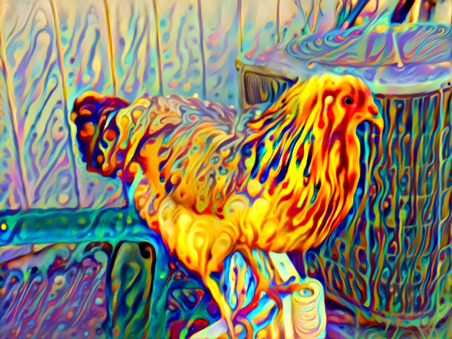Gwen the Hen Out of the Pen