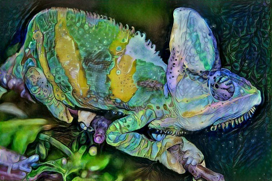 Vibrant Chameleon
