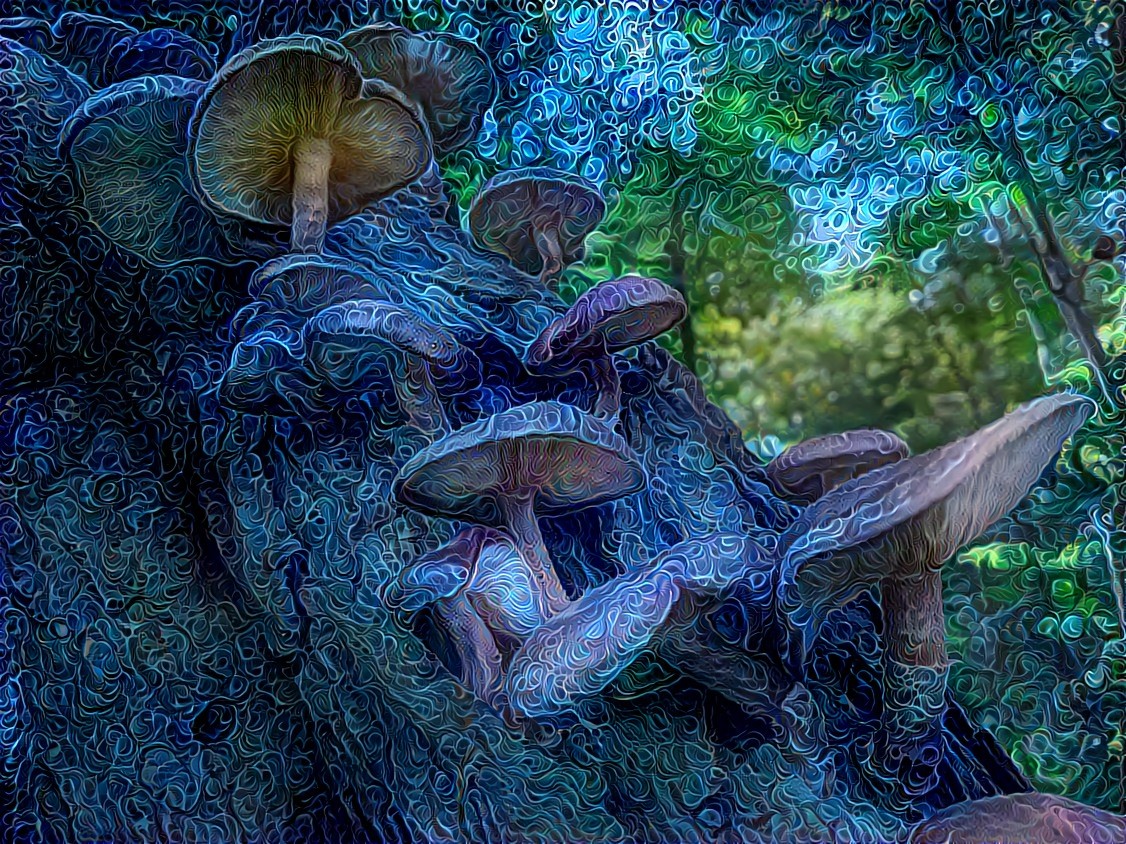 Fabulously Fantastic Fungi Fantasy