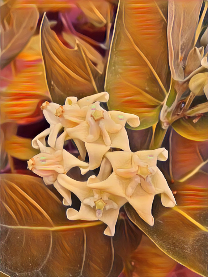 Vanila flower