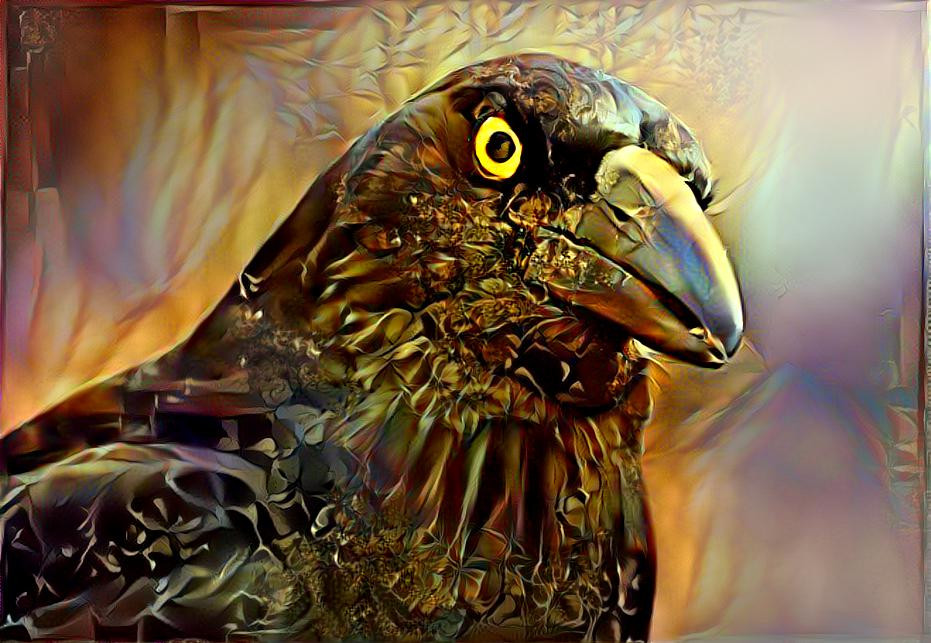 The Currawong