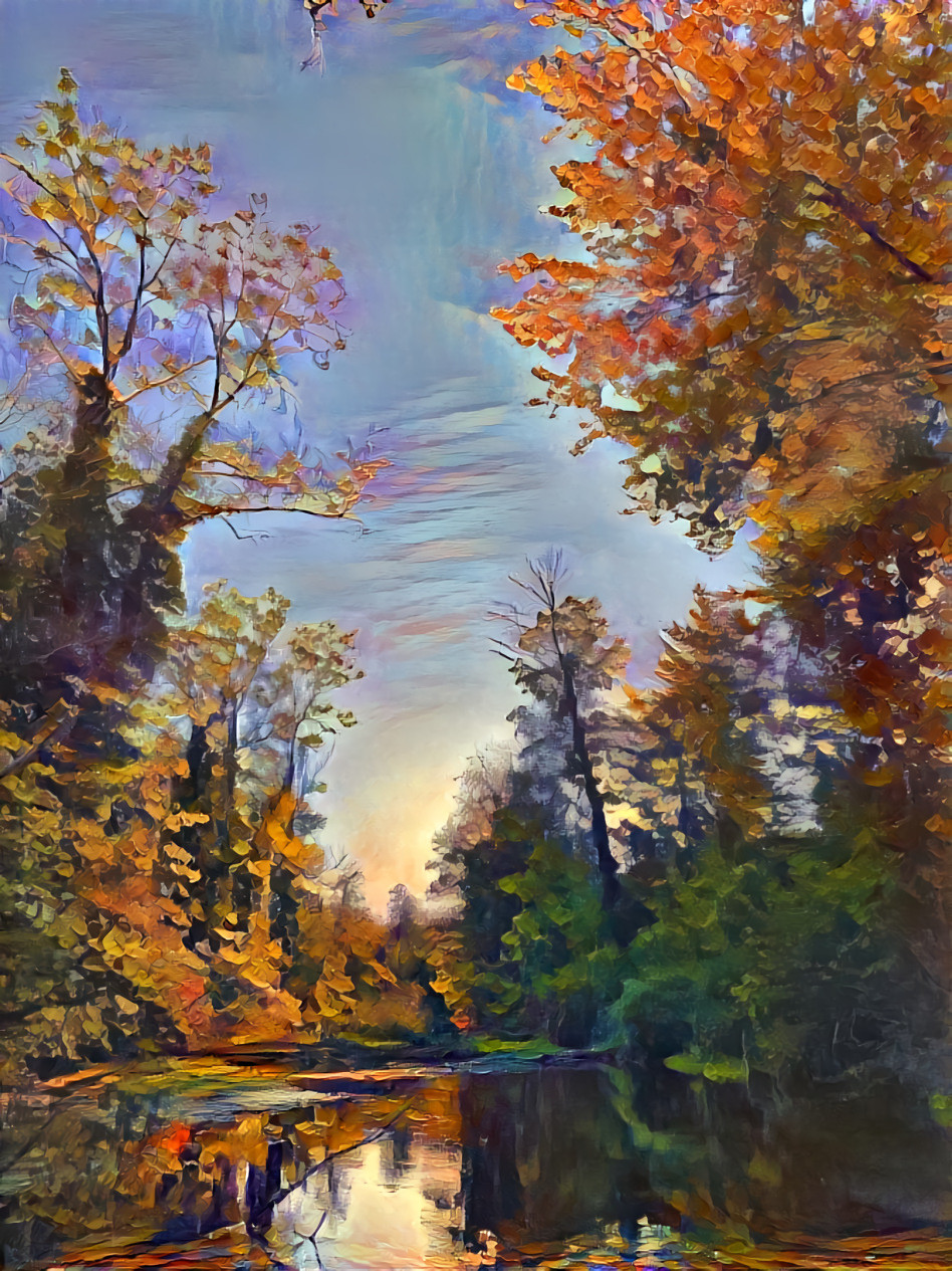 Forest at a river 