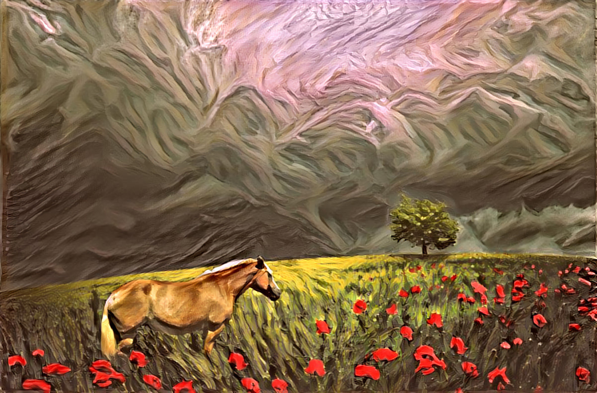 ‘Storm on the Horizon’ is a composite featuring my Haflinger mare, Bella, among the poppies. Created in Photoshop and PicsArt prior to dreaming.