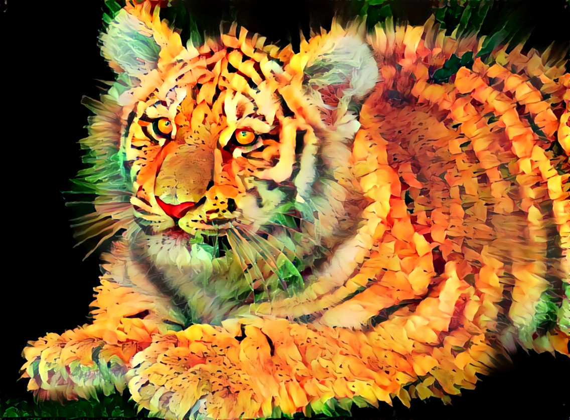 Tiger Lily Tiger 2