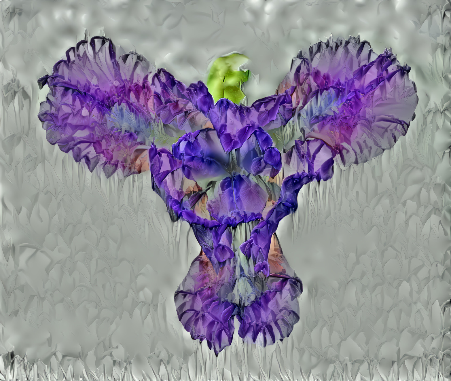 Purple Mauve Iris