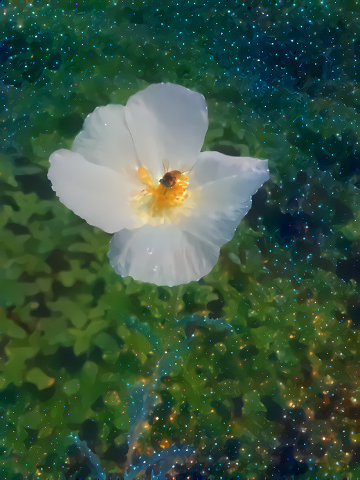 NASA space flower