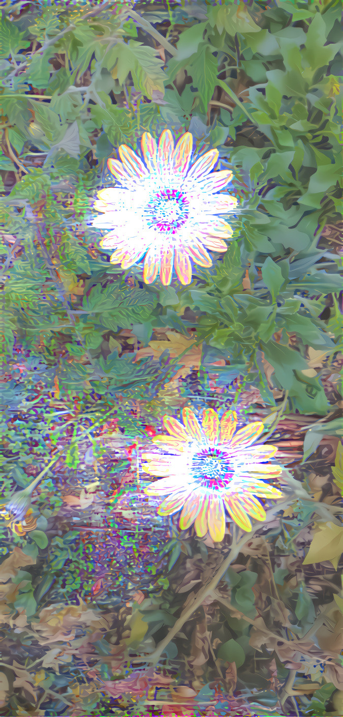 3D flowers