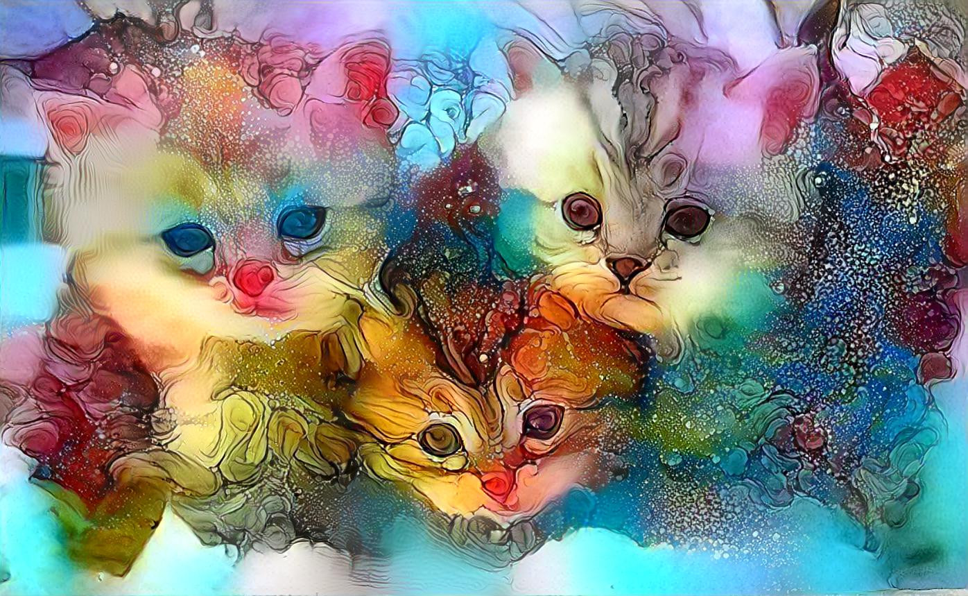 Close Kitties 