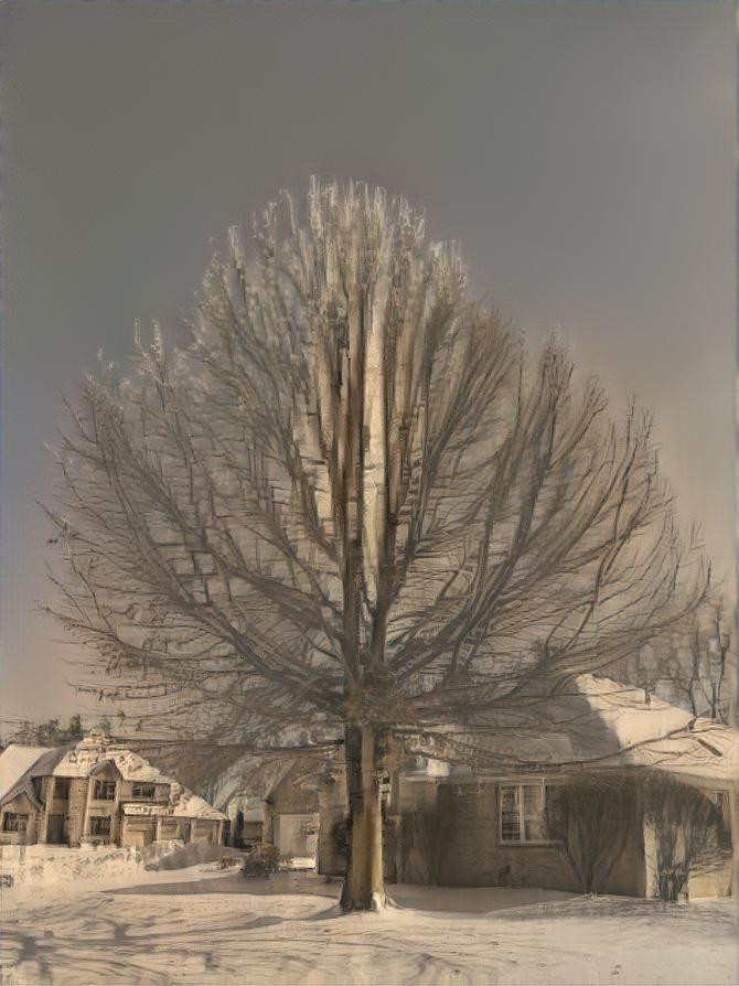 Icy Tree Rockford Ill. USA