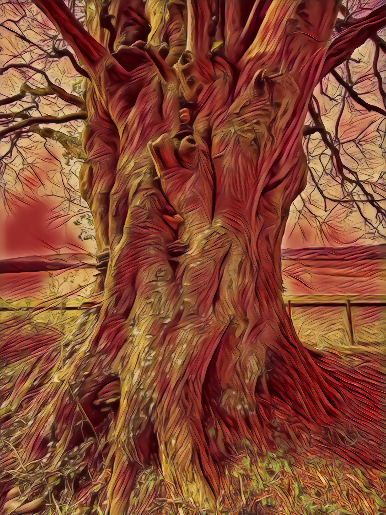 Tree near Beacon Hill in Hampshire