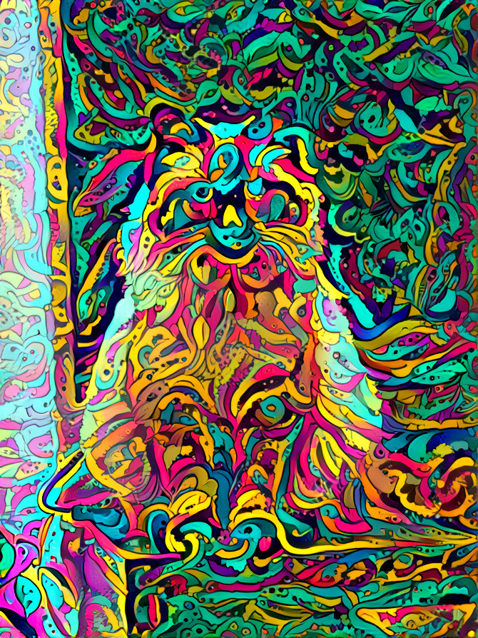 Colour cat 3