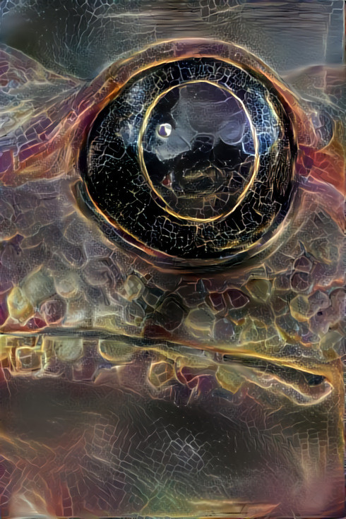 Frog eye