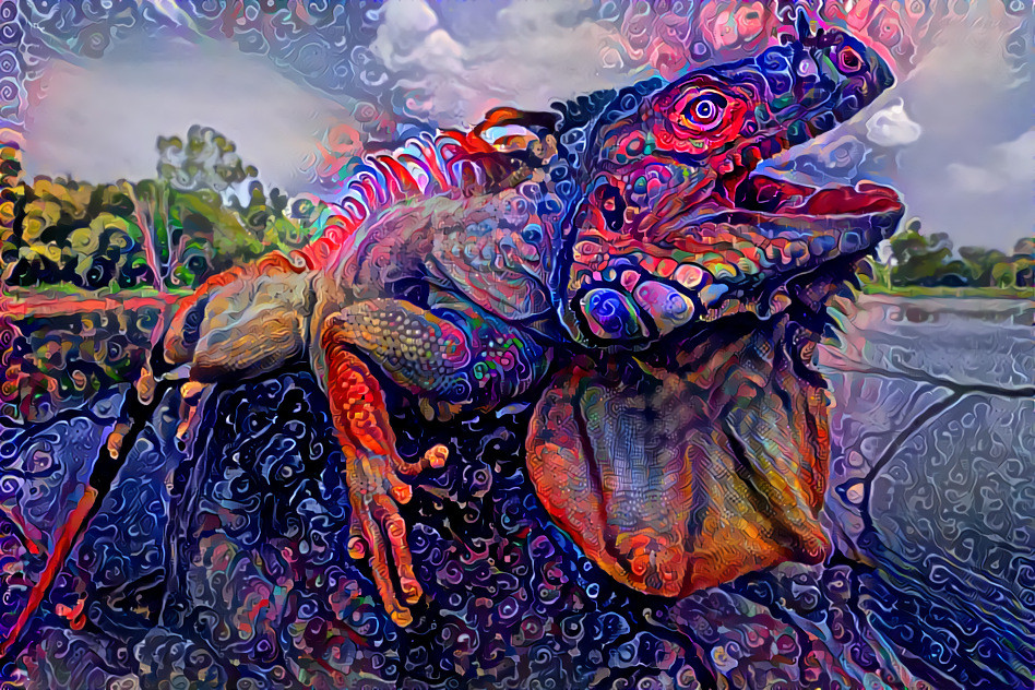 Paisley iguana