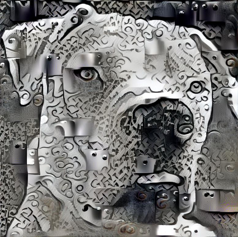 Sight hound 