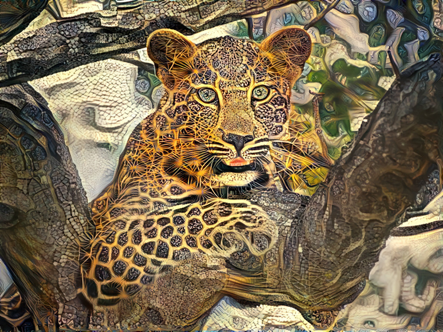 Hypnotizing Majestic Leopard