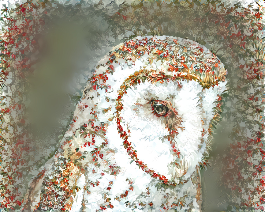 Floral Owl