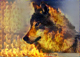 The Fire Wolf