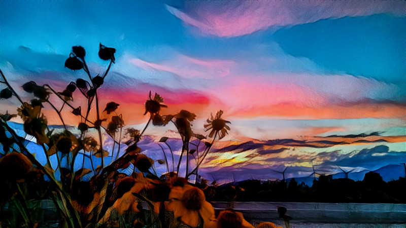 Sunset Wildflowers