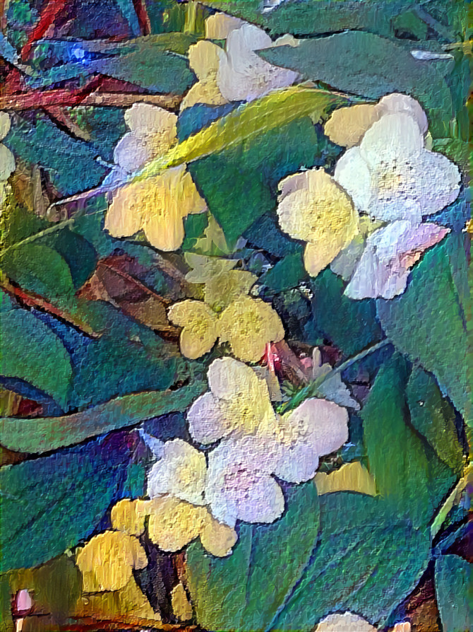 Spring Renewal Orange Blossoms ~ My Image