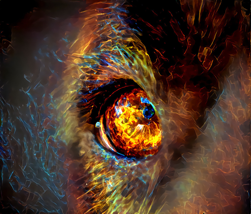 Hearthfire Eye