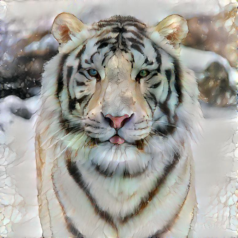 SP Tiger Portrait VI