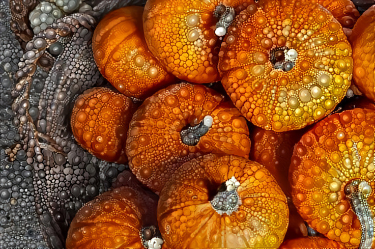 Dropped pumpkins
