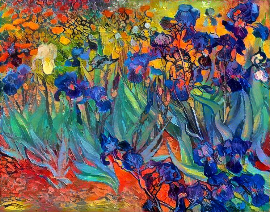 Iris Vincent Van Gogh 