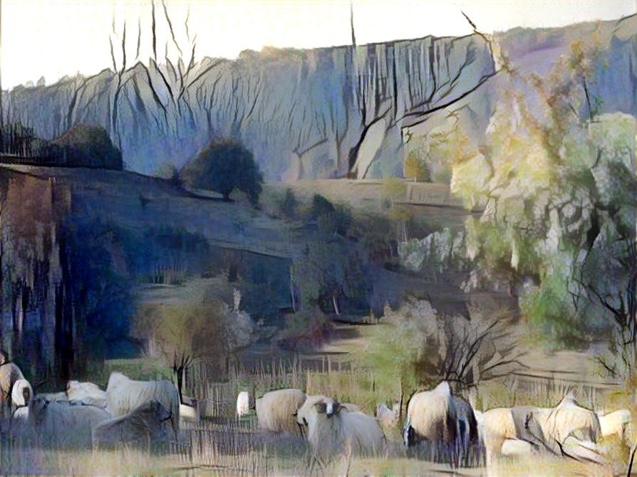 The shepherd`s view