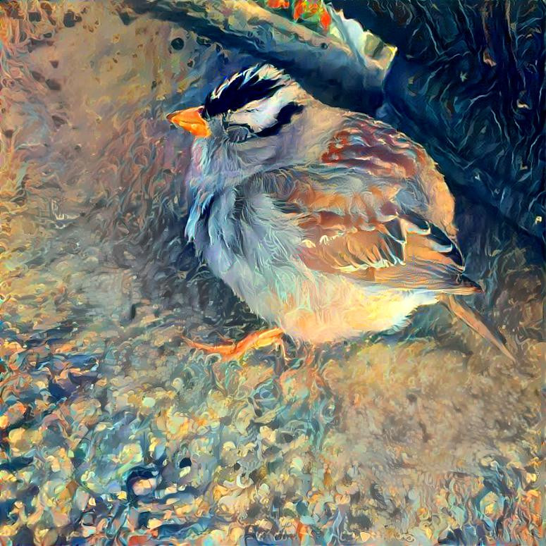 The sparrow