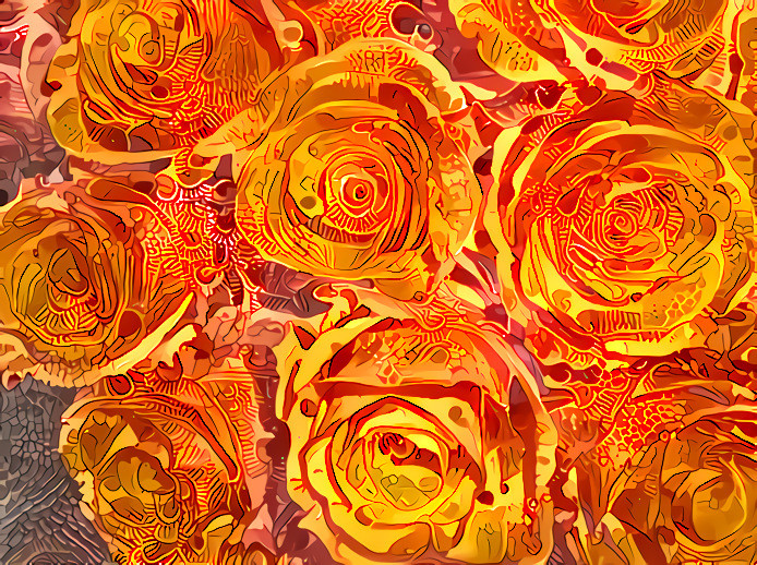 Brilliant Orange Roses #1