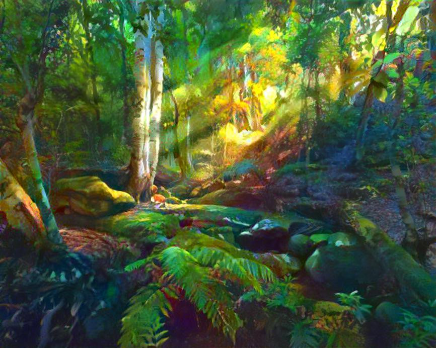 australian rain forest