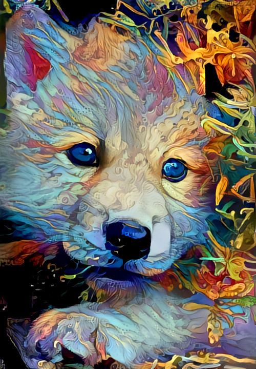 Wolf Cub