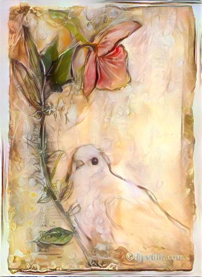 the enchanted dove