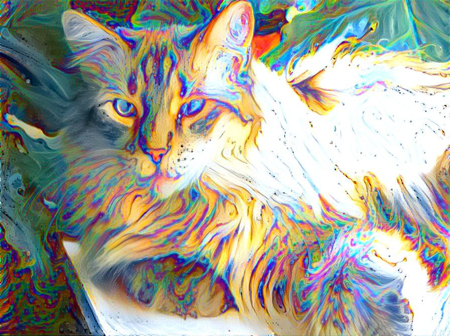 Liquid Cat