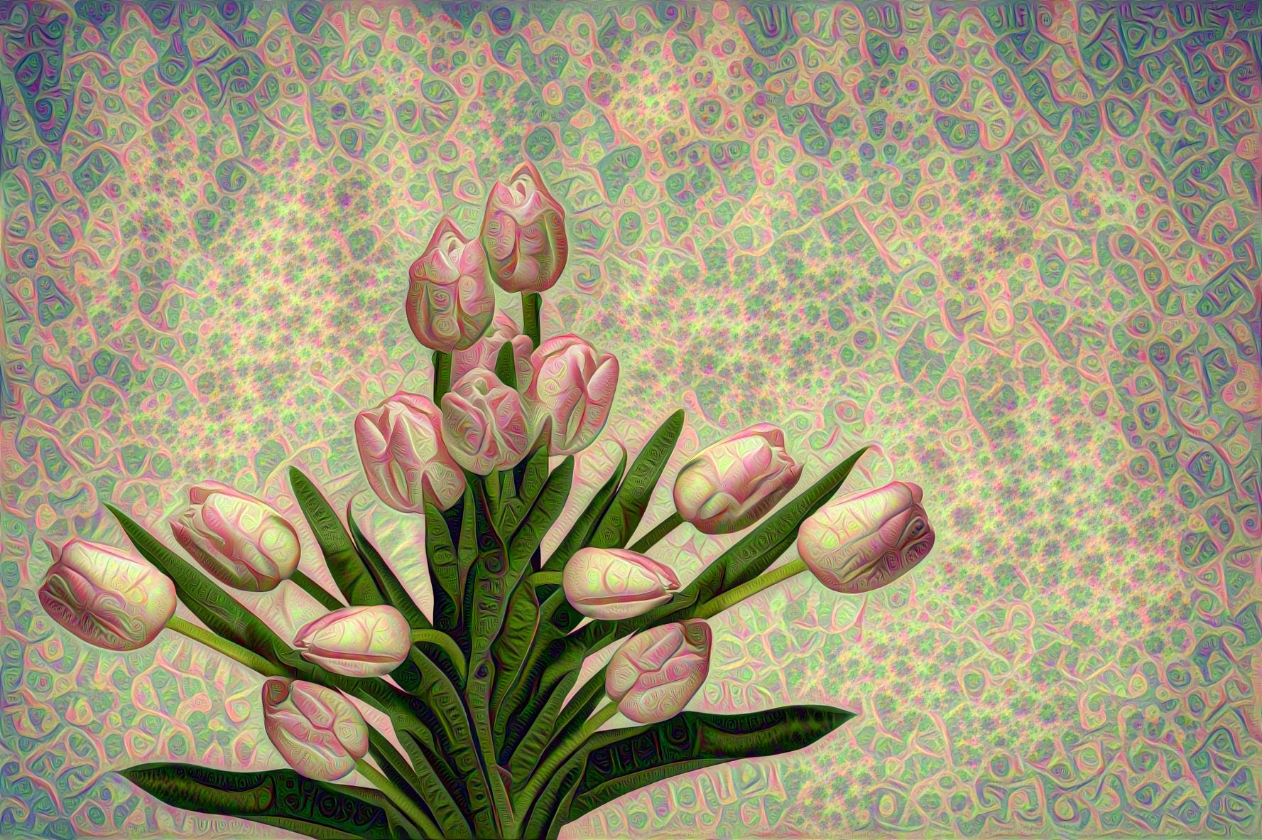 Pale Pink Tulips