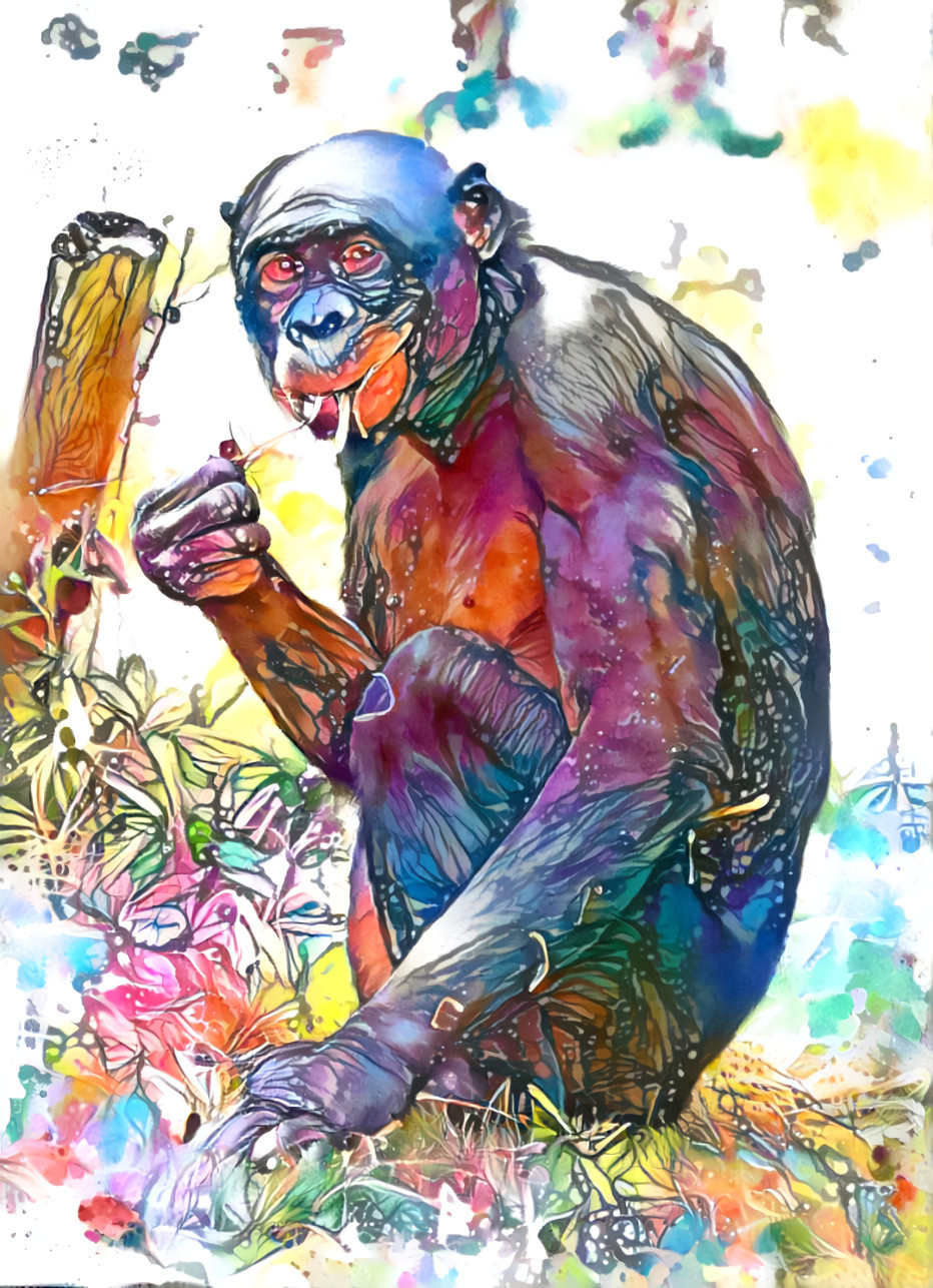 aquarel bonobo